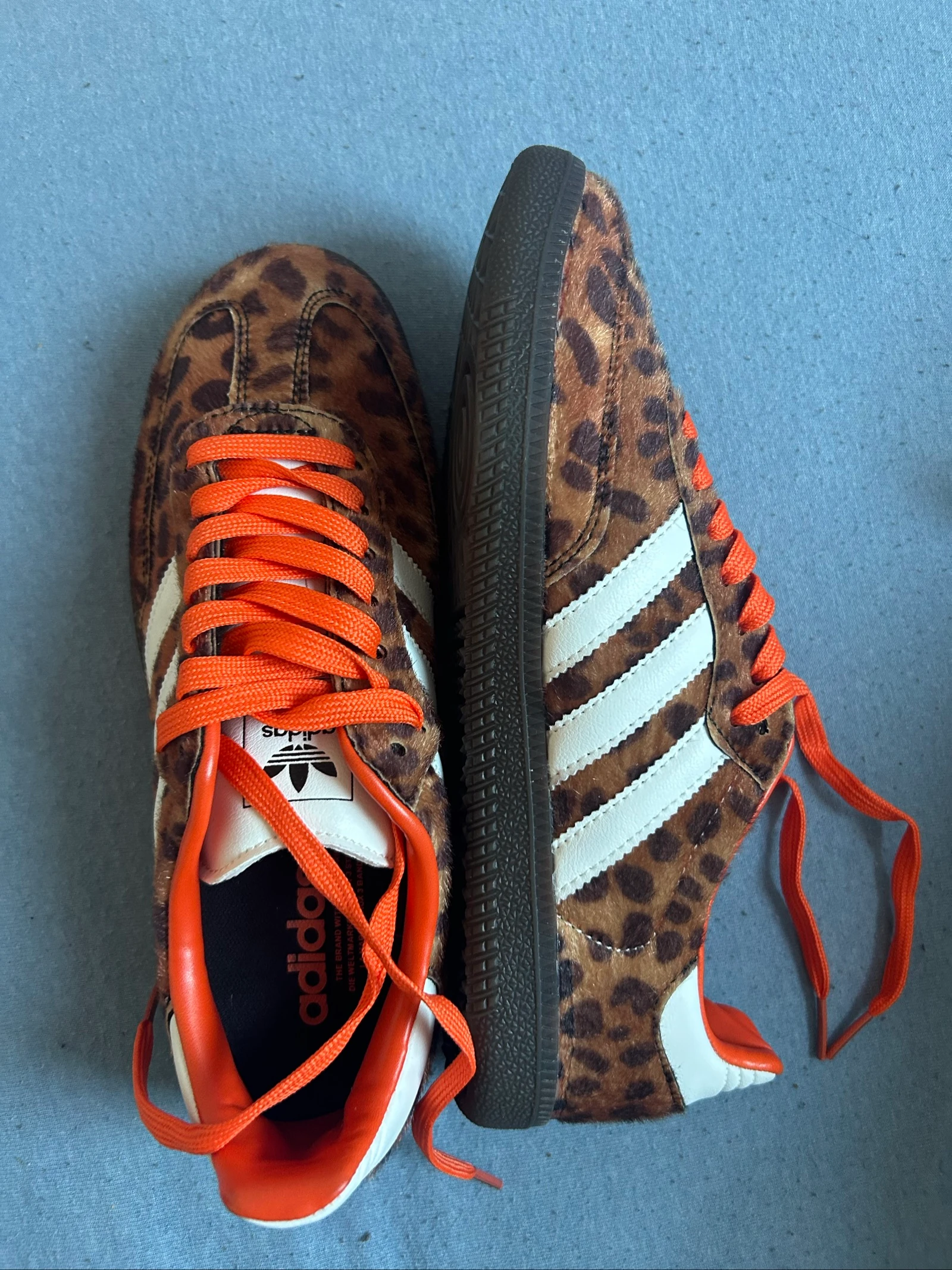 Panthère adidas